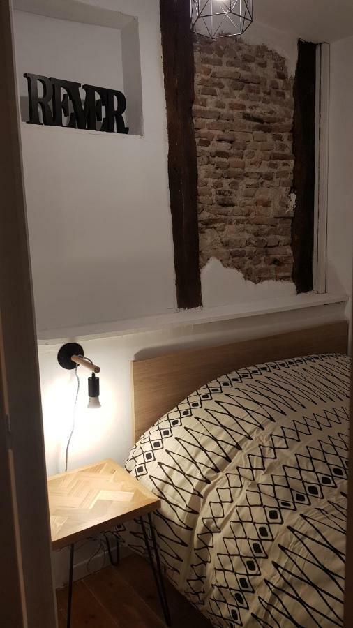 Appartement Avec Cour ★ Spacieux ★ Hyper Centre Castres  Extérieur photo