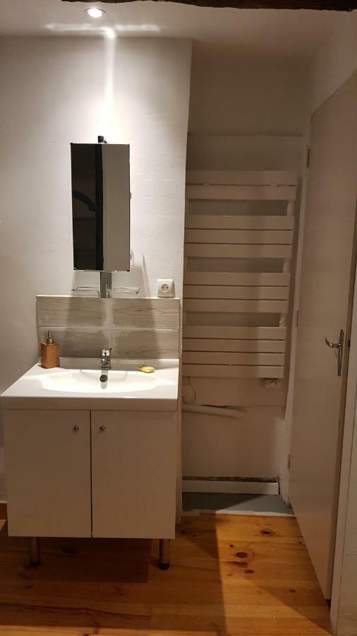 Appartement Avec Cour ★ Spacieux ★ Hyper Centre Castres  Extérieur photo